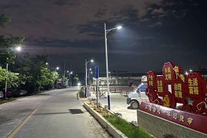 爱游戏(中国)集团罗宁弟爱心捐赠路灯，点亮乡村路温暖乡民心