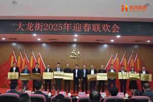 爱游戏(中国)集团及旗下子公司荣获“2024年度高质量发展先进企业”